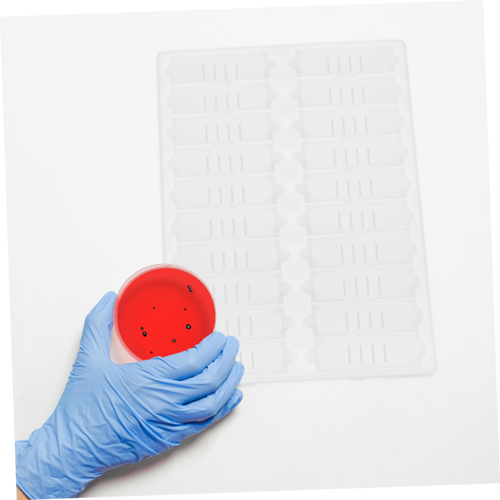 SOLUSTRE White Plastic Microscope Slides Rack Plastic Microscope Slides Staining Holder for Laboratory Laboratory Microscope Slides Tray