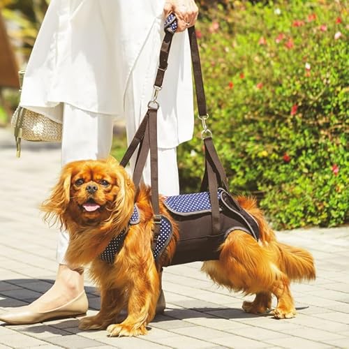  s⏕n[lX  n[lX  LaLaWalk EH[N ^ [ p[hbg ] (M)