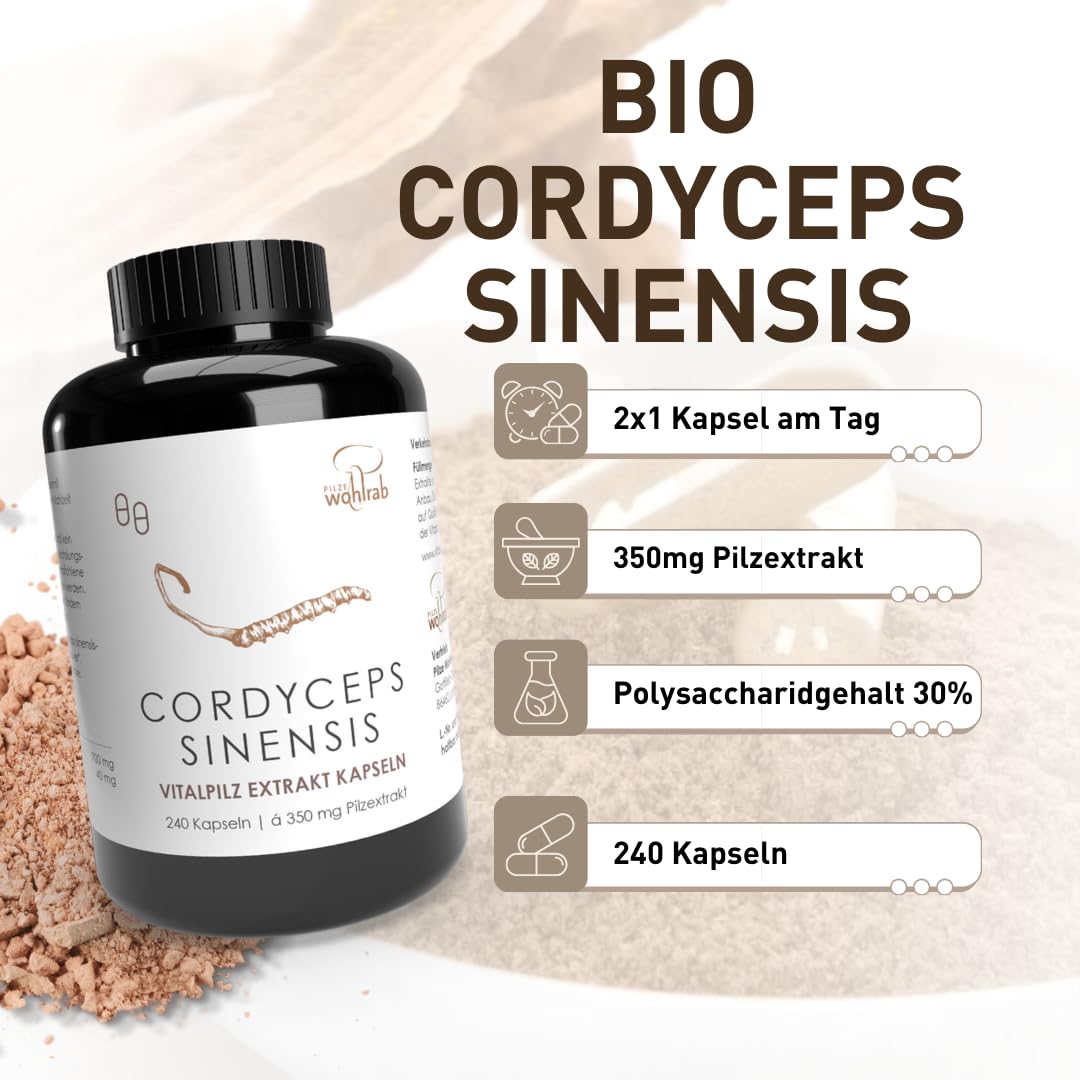 Bio Cordyceps Kapseln hochdosiert - 350 mg Cordyceps sinensis Extrakt je Kapsel - Bio Acerola Vitamin C - 1 Dose à 240 Stück - Nahrungsergänzungsmittel