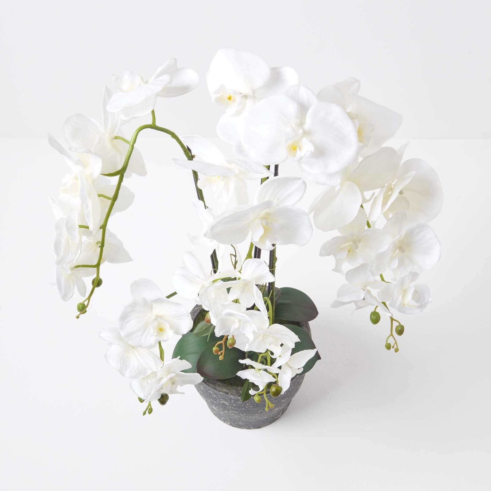Homescapes extra große Kunstorchidee im Topf, hochwertige künstliche Orchidee mit weißen Blüten, XXL-Deko-Orchidee Phalaenopsis im dunklen Keramiktopf, dekorative Kunstblume, 82 cm hoch