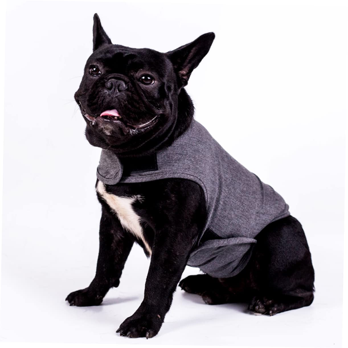 minkissy 3 Pièces Vêtements Veste pour Chien Veste D'anxiété pour Chien Animal De Compagnie Anti-anxiété Le Animaux