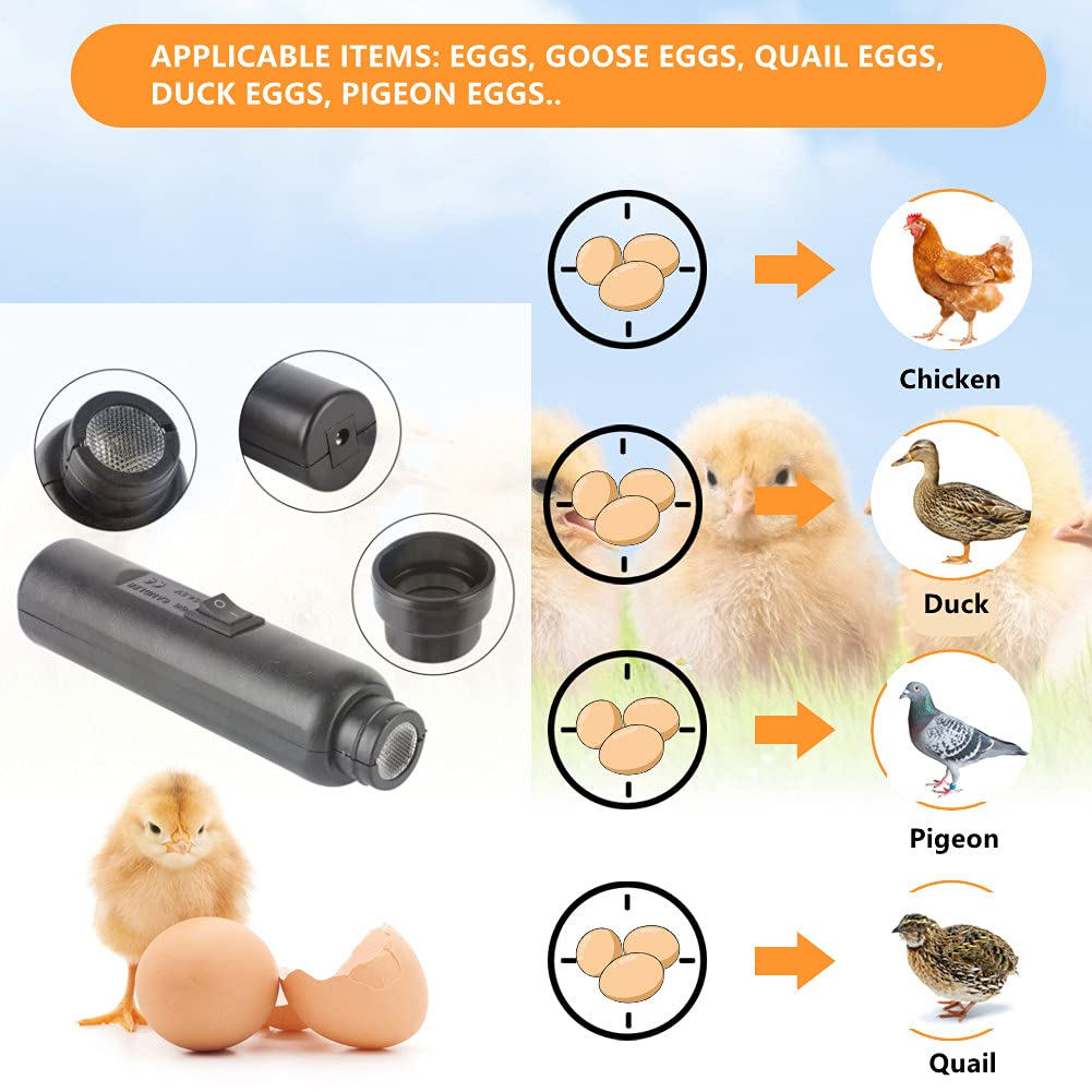 Lampe pour œufs de poule, lampe à dessert pour œufs de poule, lampe à œufs Candler, lampe LED de refroidissement haute intensité, double puissance, testeur d'œufs, lampe à incubation, testeur d'œuf.
