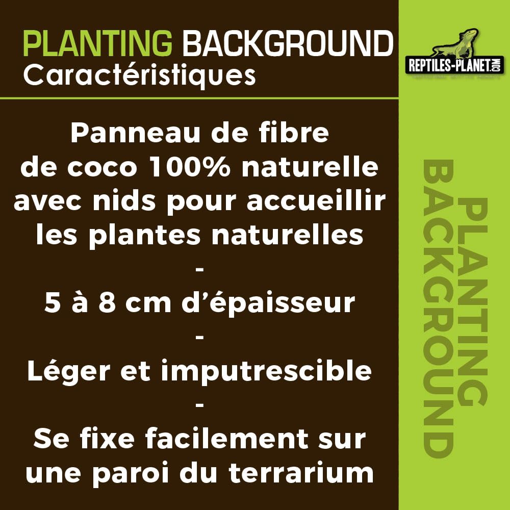 Rettili Planet Decorazione di Fondo in Cocco per terrario per Planter 40 x 40 x 1 cm