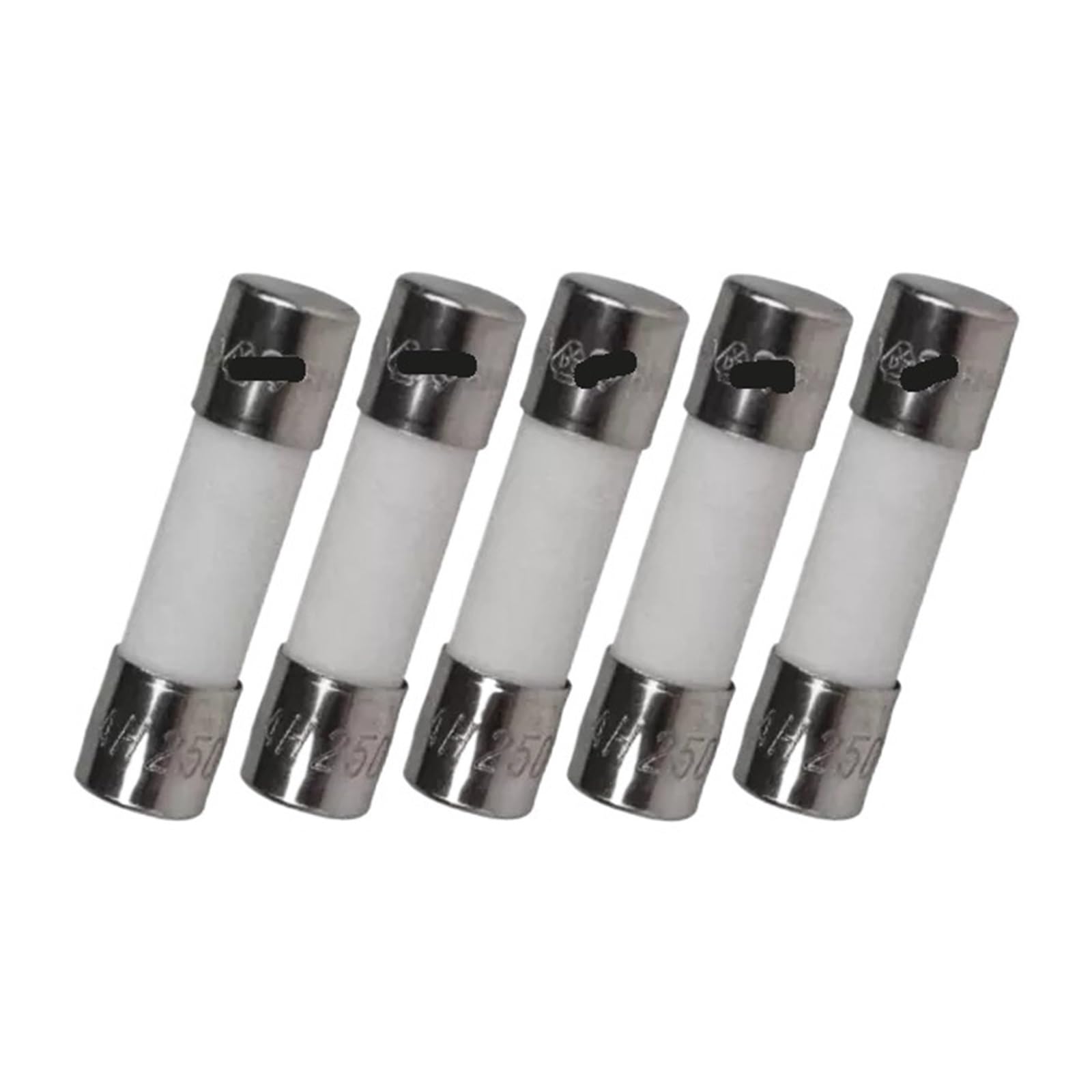 KXIWLUFV 5PCS 5X20mm 10A 250V Ceramic Fuse