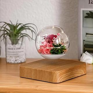 HCNT Magnetic Levitating Flower, Forever Flowers Real Eternal Roses, Levitation LED Light Bulb Lamp Floating Light, Decorative Light for Kids Lover Friends