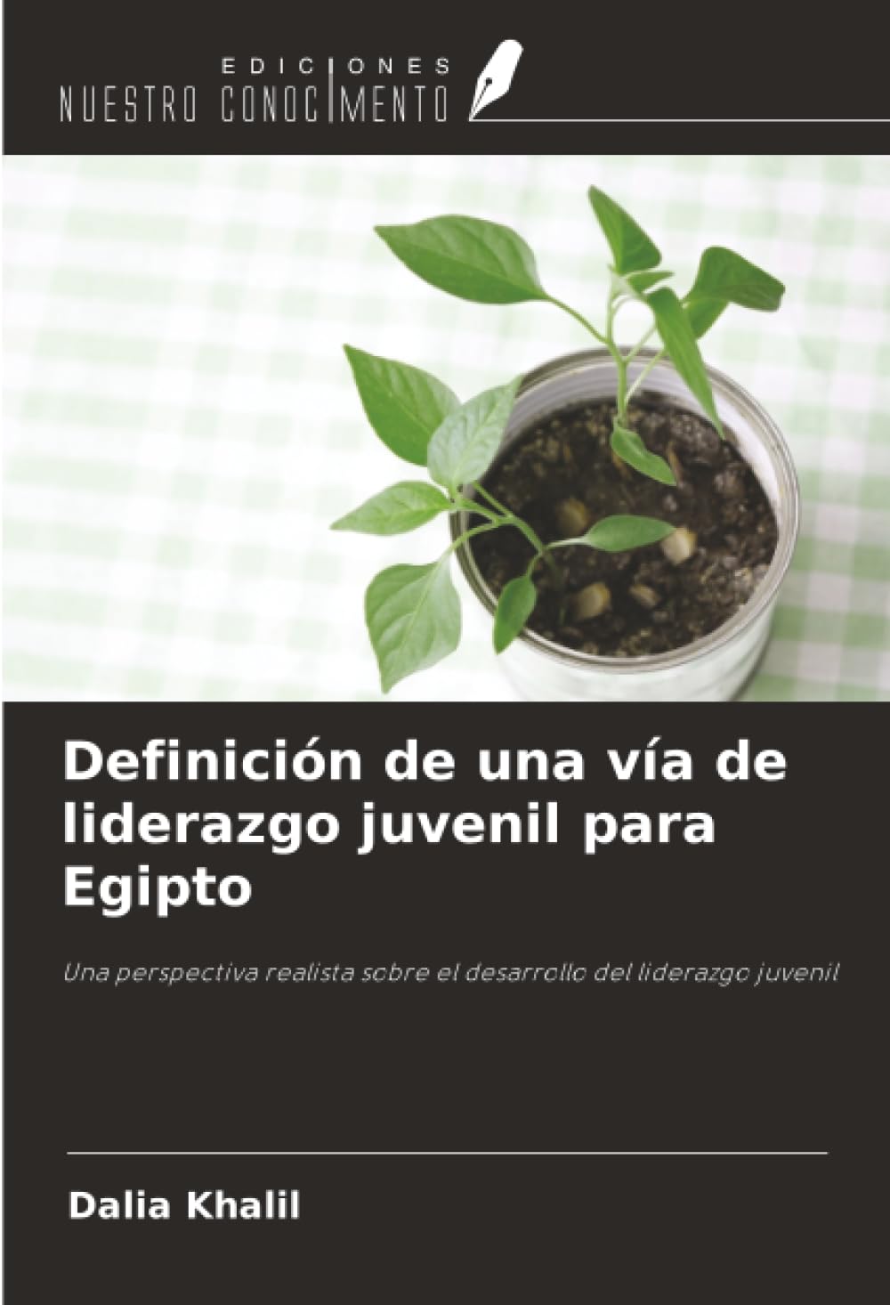 Definición de una vía de liderazgo juvenil para Egipto: Una perspectiva realista sobre el desarrollo del liderazgo juvenil