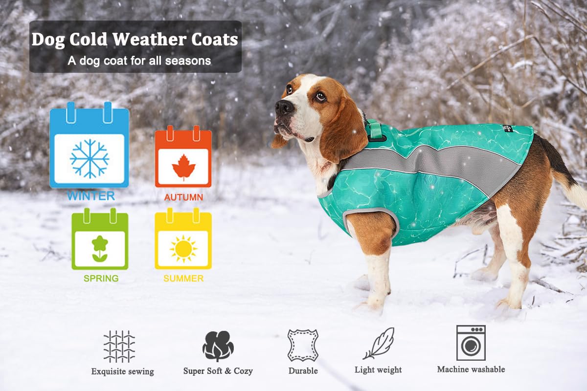 Giacca per Cani d'inverno e Gilet di Raffreddamento per Cani d'estate Cappotto Cane a Doppio Uso, Antivento e Caldo Cappotto per Cani Inverno, Inzuppato per il Gilet di Raffreddamento per Cani Estate