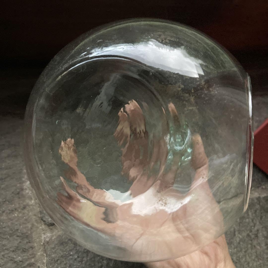 スェーデンロールストランドのテラリウム