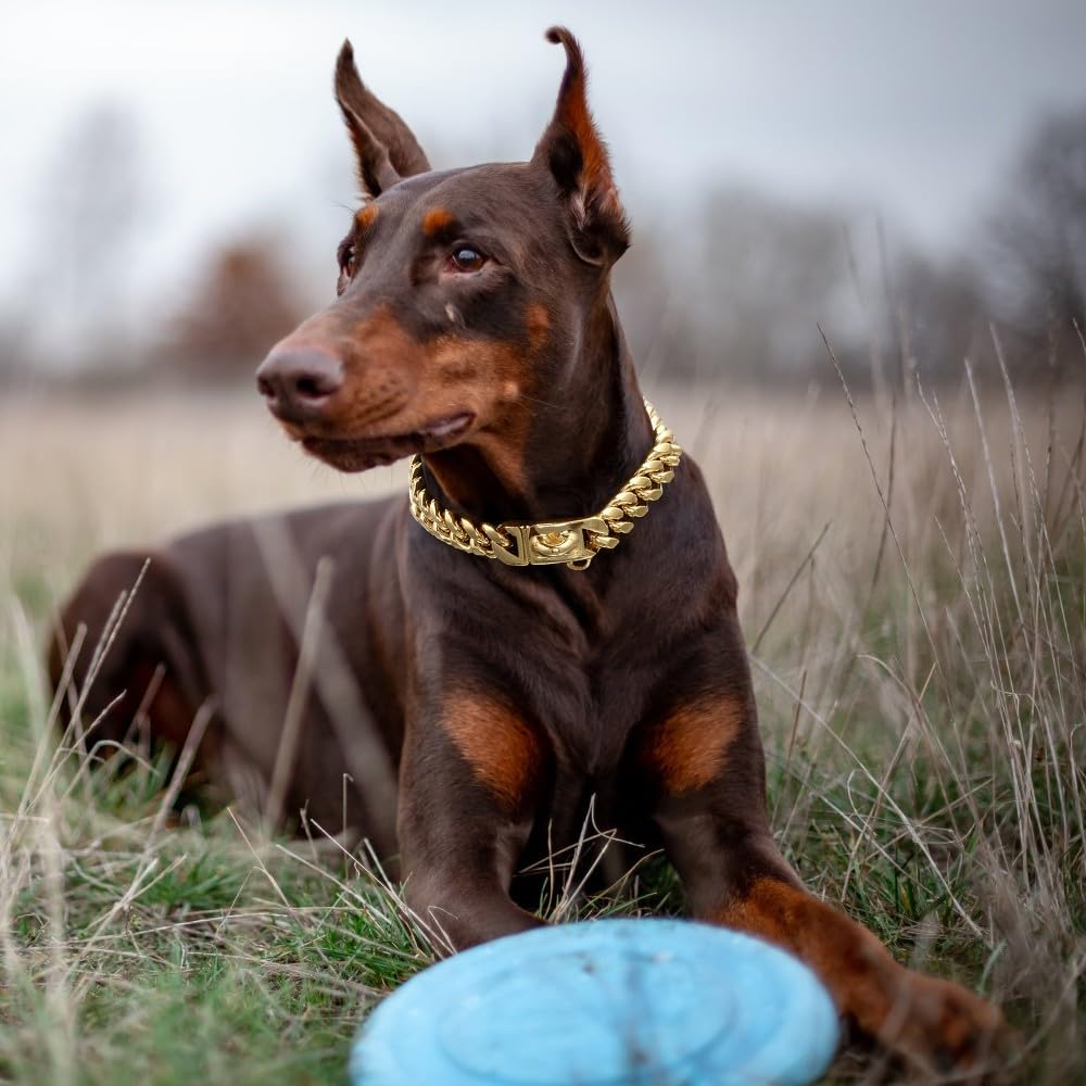 Collar cubano para perros, collar de acero inoxidable, 14mm de ancho, cadena para collar de perro, 26/31/36/41/46/51/56/61cm de longitud, collar dorado para perros de tamaño pequeño y mediano