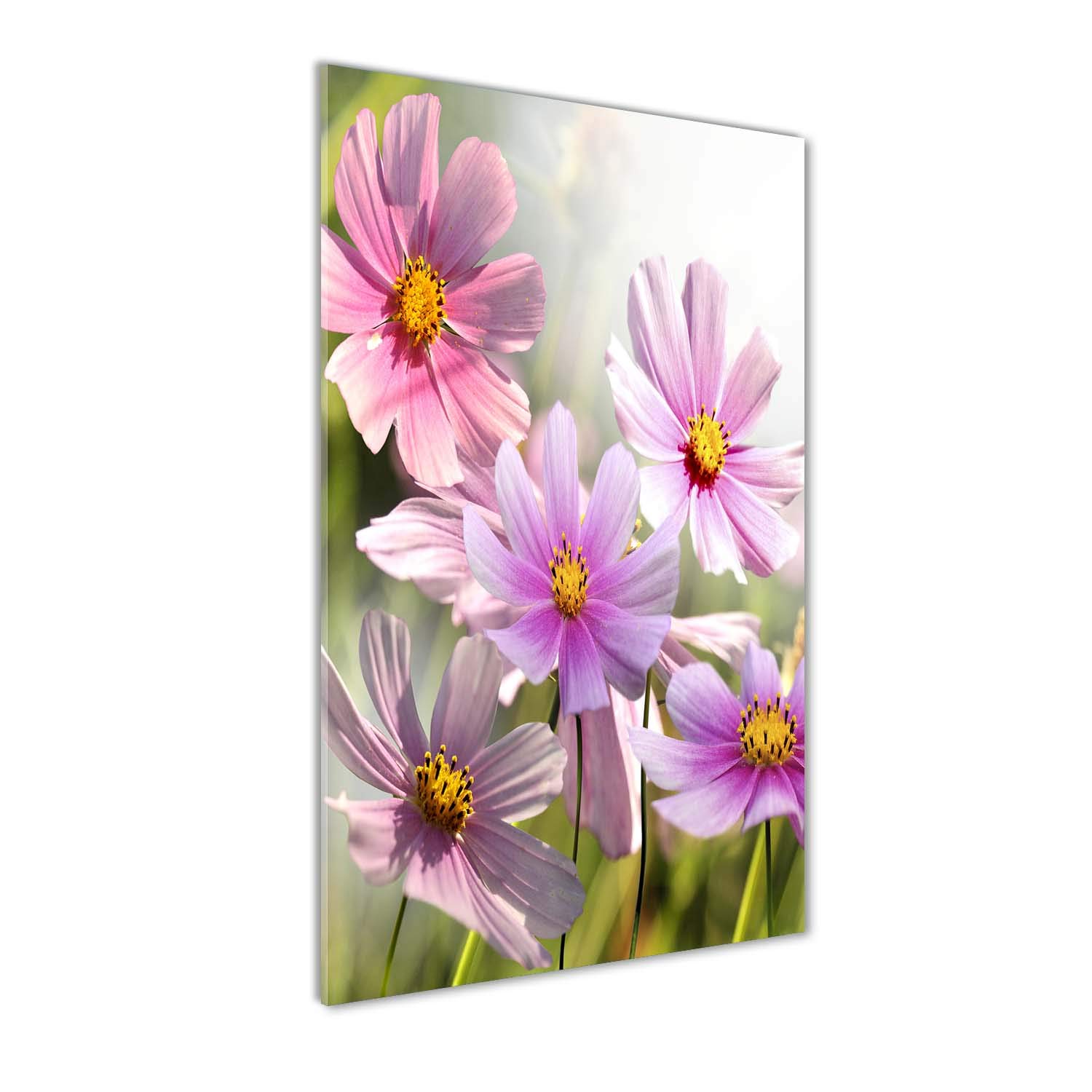 Image tableau photo décorative fleurs sauvages rose impression sur verre 60x120 cm