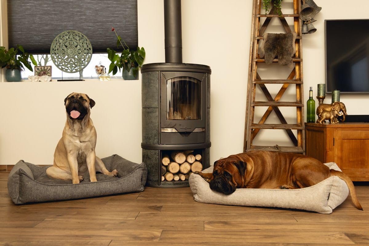 Beeztees Zia - Orthopädisches Hundebett - Beige 100x80x23 cm