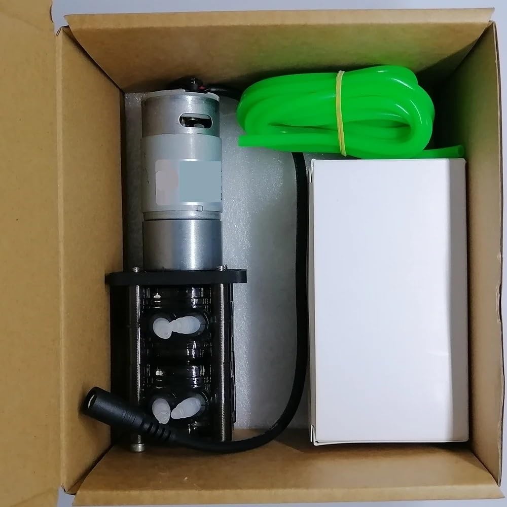 Bomba peristáltica de doble canal, flujo ajustable de 20-200 ml/min, motor con escobillas CC, bomba de transferencia de líquidos industrial y de laboratorio
