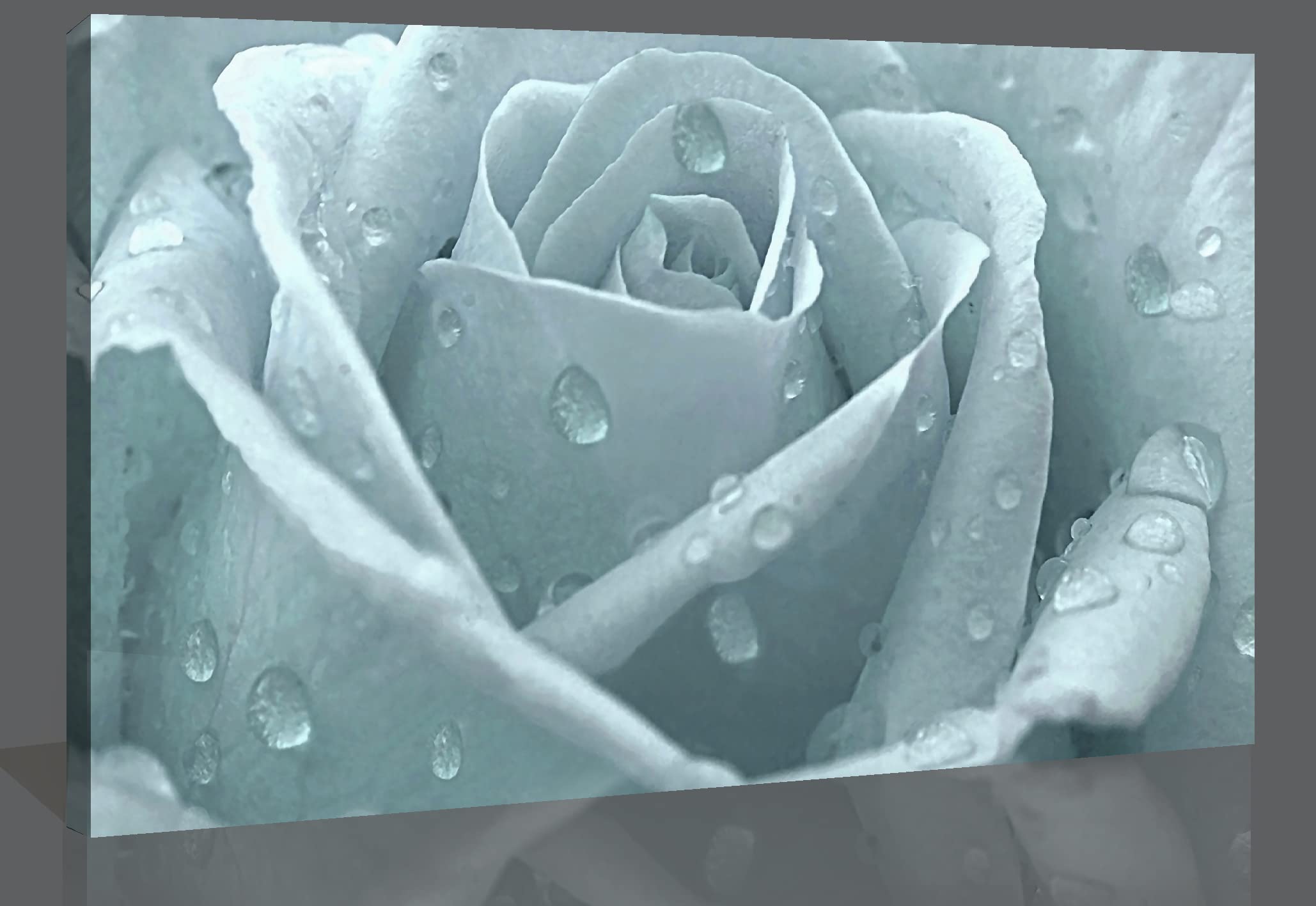 Duck Egg Blue Rose with Raindrops Canvas Wall Art Print 100% cotton (32" x 20" (A1))