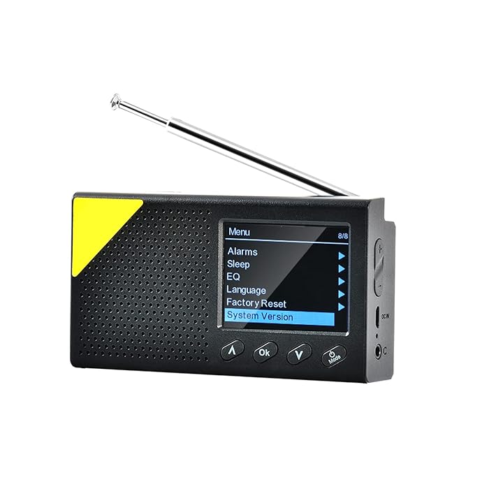 Buy Fajia Digital DAB & FM Radio with BT, Portable Digital Radio Rechargeable Wireless DAB+FM