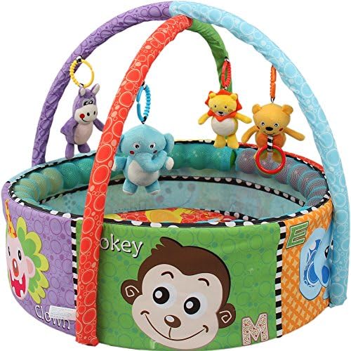Gaodengbao Activity Gym & Ball Playnest Baby Toy Y21006