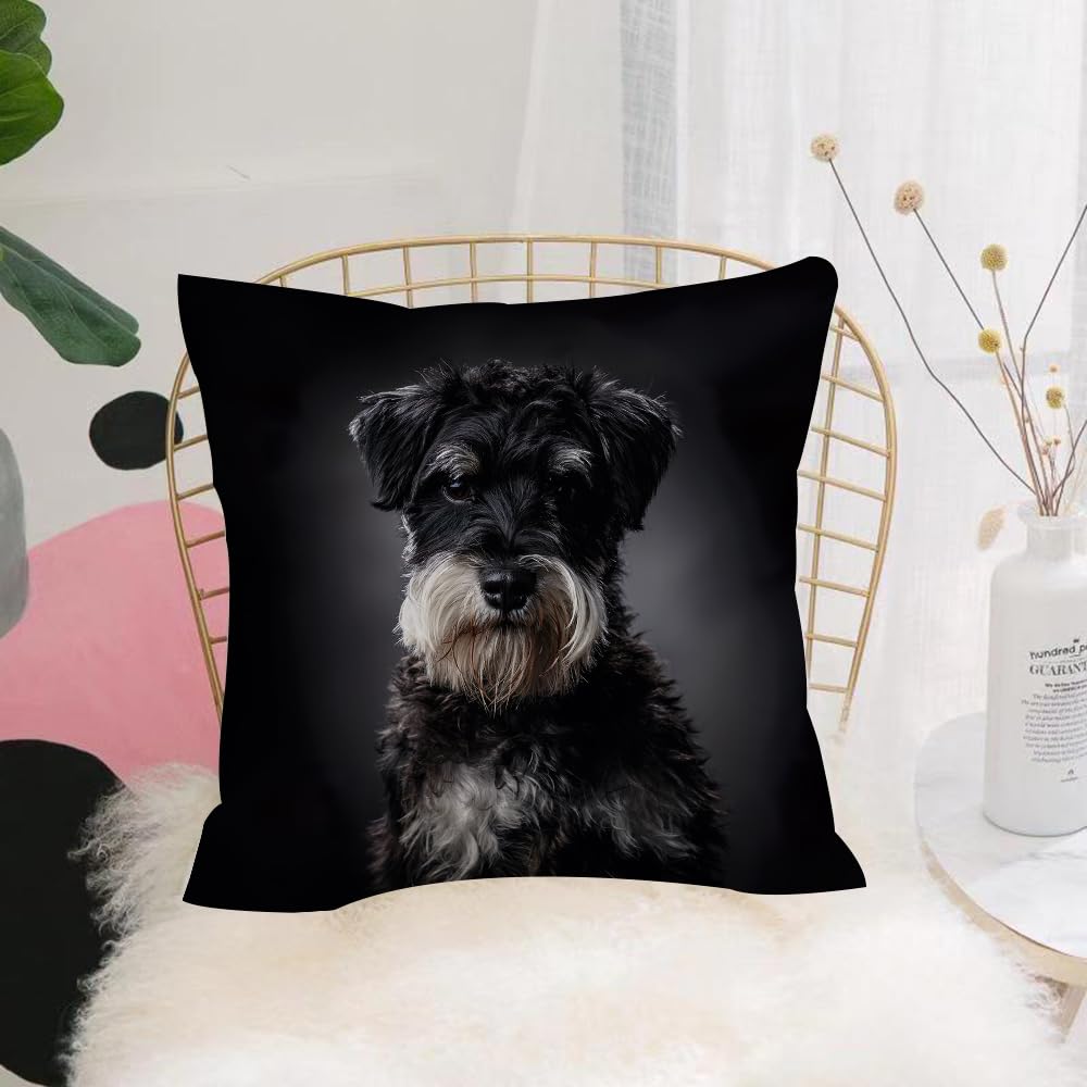 HYMSXW Cushion Cover,Throw Pillow Case Home Decorative for Living Room Bedroom Sofa Chair 20X20 Inch,Dog Schnauzer Portrait on Dark Grey Pet Adorable,Pillowcase 50X50cm