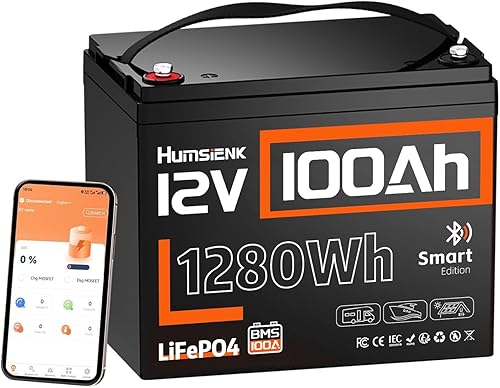 Batería de litio LiFePO4 Bluetooth de 12 V 100 Ah - Batería de ciclo profundo BCI Group 24, BMS integrado de 100 A y protección a baja temperatura,