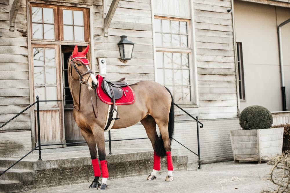 Kentucky Horsewear Bonnet Wellington Velours Rouge COB