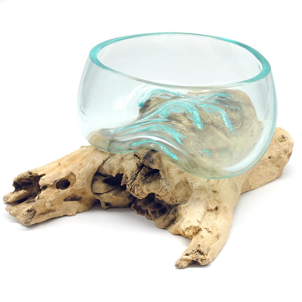 Wurzel mit Glasschale klein Schale Dekoschale Glas auf Holz Durchmesser 12-13 cm Holzdeko Teakholz Deko