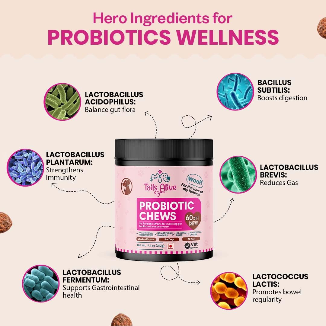 Probiotic Soft Chews Supplement for Dogs | Six Probiotic Strains for Gut Health & Digestion | Chicken Flavor | Supports Immune Function | 60 Soft Chews — Amazon image 4