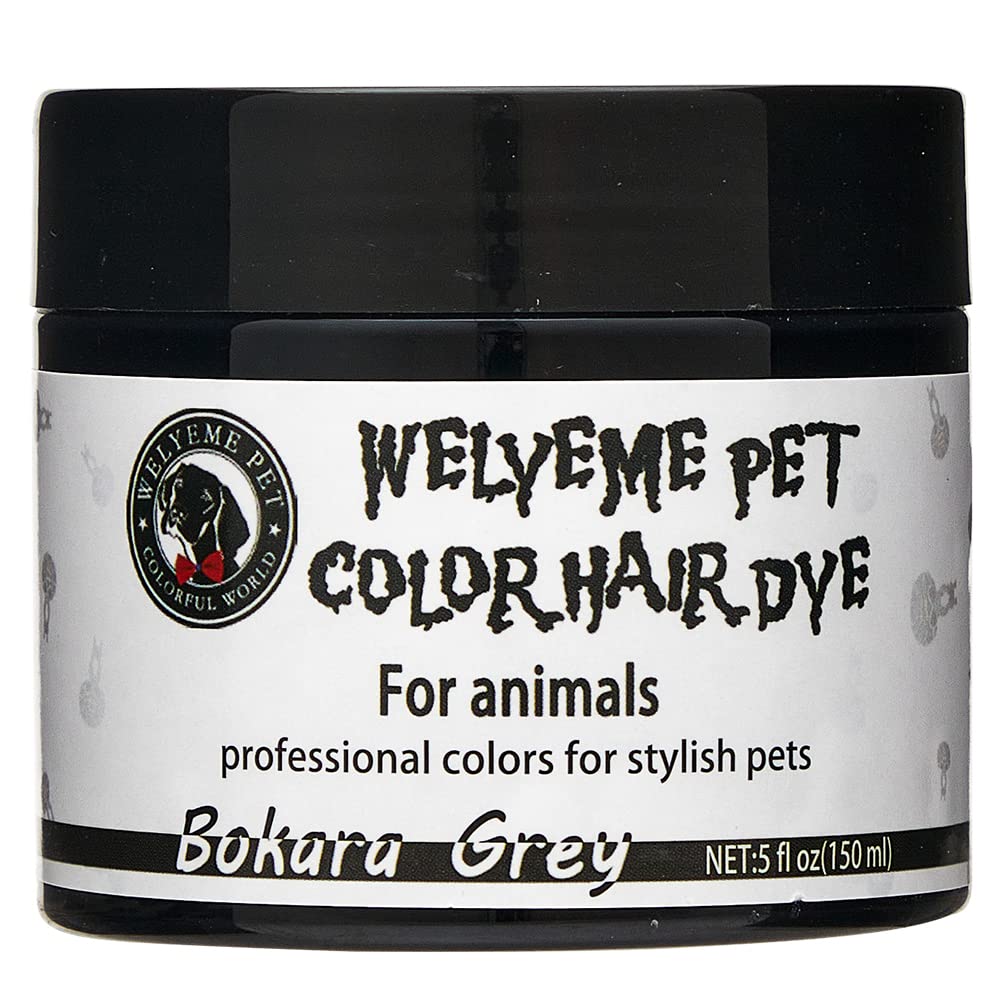 Can I Dye My Dogs Grey Hair