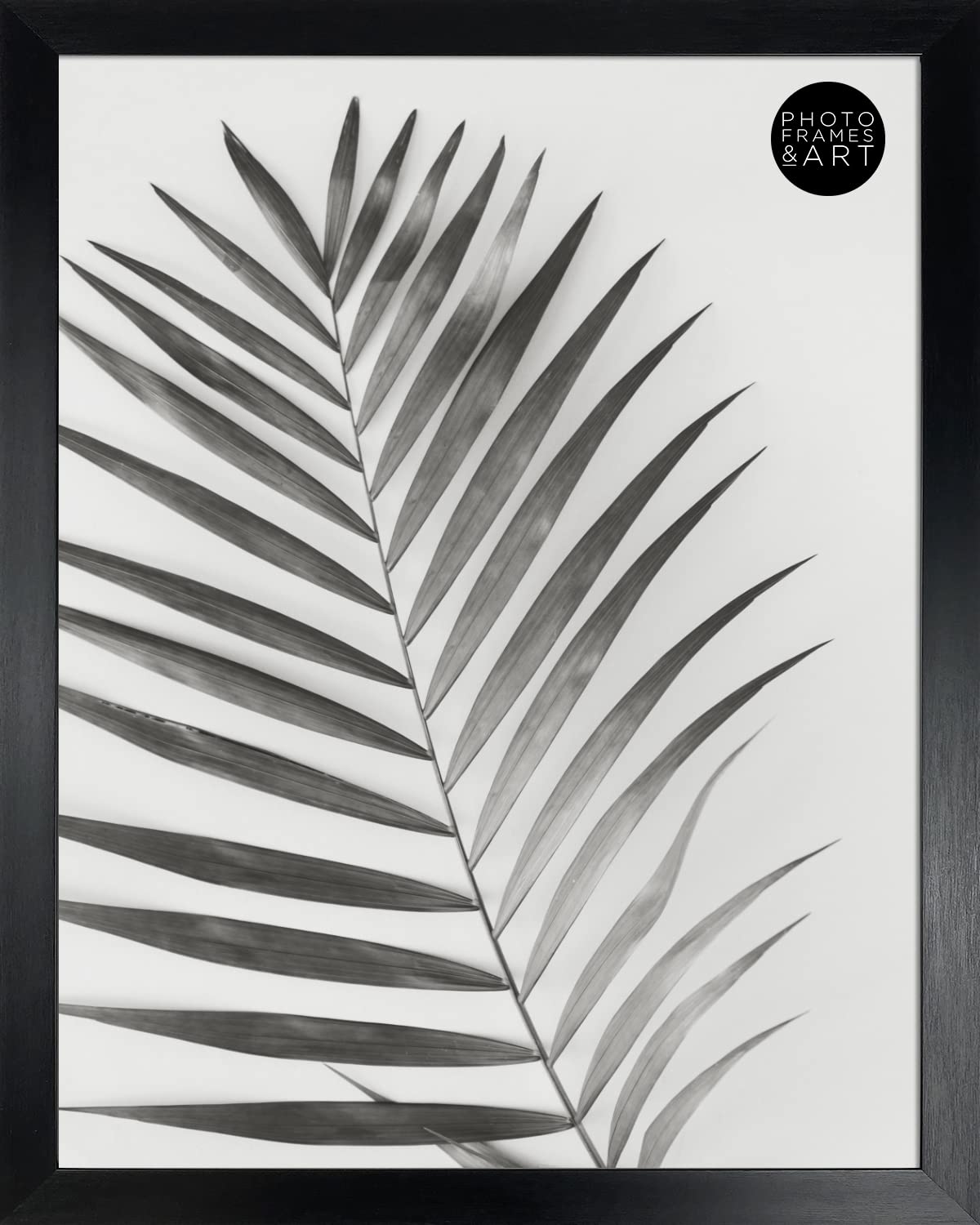 Photo Frames And Art White Pf&A Oxford Black – Glass Window - Thin Premium Photo Frame For 14X11” Picture (Width Of Frame 2Cm)