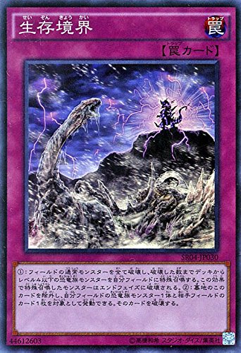Amazon.co.jp: 遊戯王/生存境界（スーパーレア）/ストラクチャーデッキ 