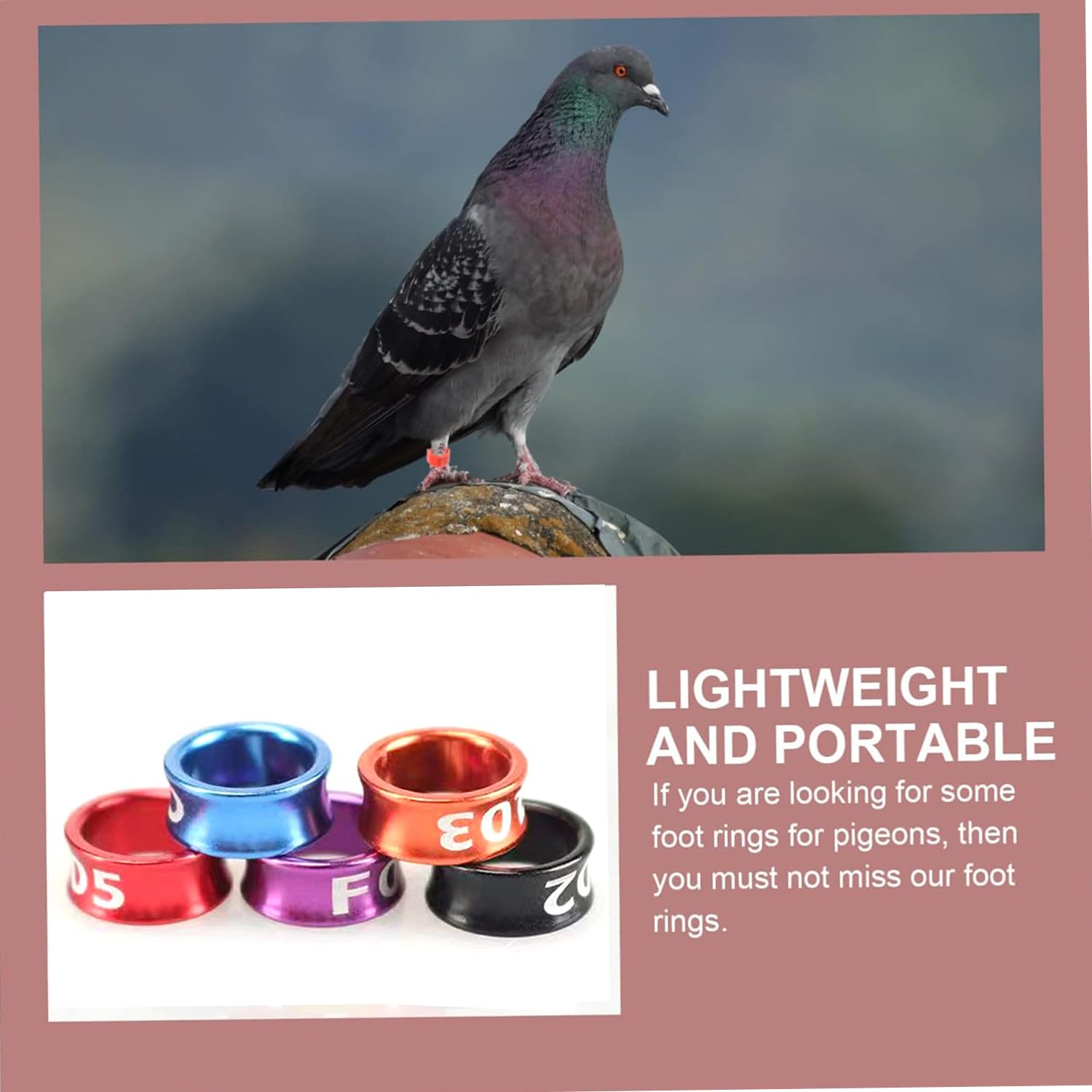Aluminiowe obrączki na nogi piskląt/gołębi - numerowane obrączki identyfikacyjne dla zwierząt, klamra w różnych kolorach do identyfikacji drobiu(Mixed Colors8.0mm,50pc)