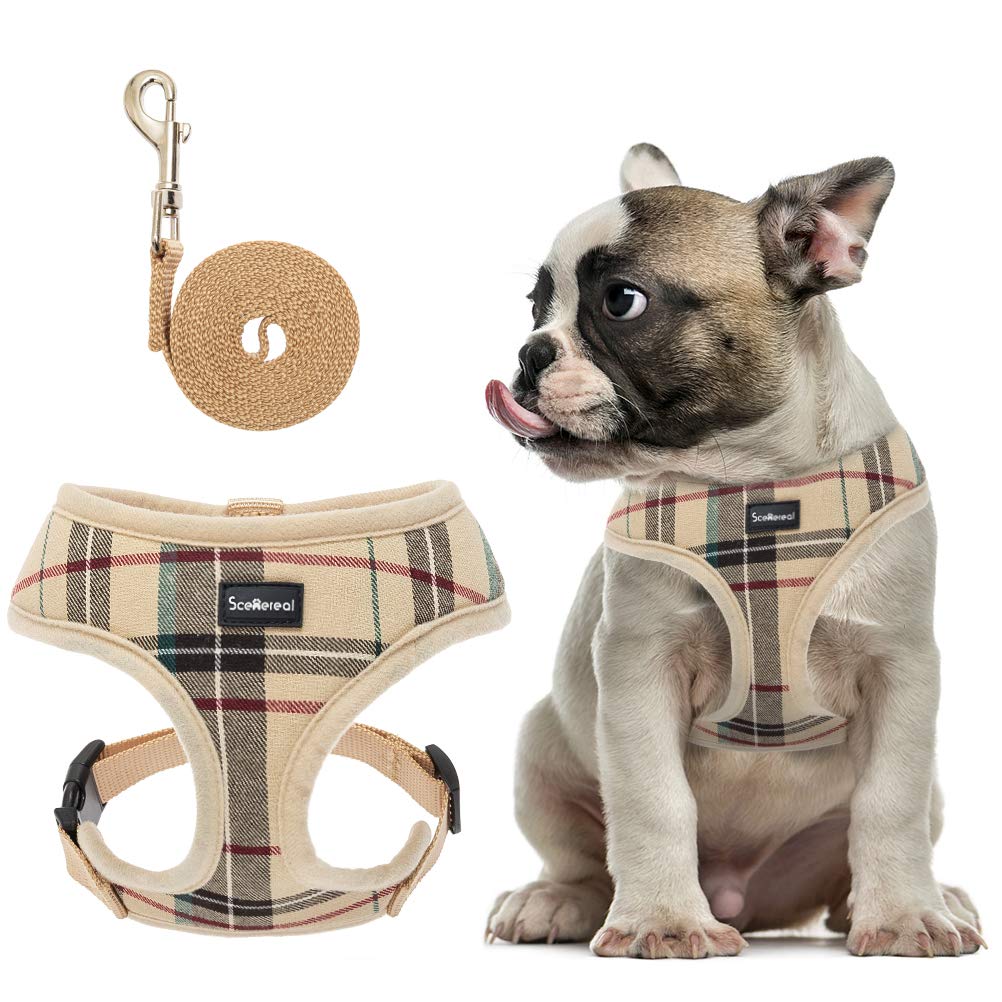 SCENEREALPuppy Harness and Leash Set - Soft Mesh No Pull Vest Small Dog Padded Harness for Puppies & Cats M(Neck 15", Chest 16"-19")
