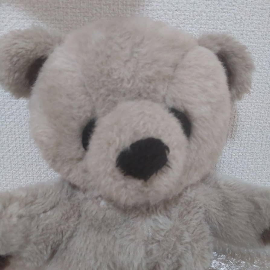 こぐまのファンファン　ぬいぐるみ　くま　昭和レトロ　クマ Amazon.co.jp: ジャンク こぐま ファンファン ぬいぐるみ レトロ