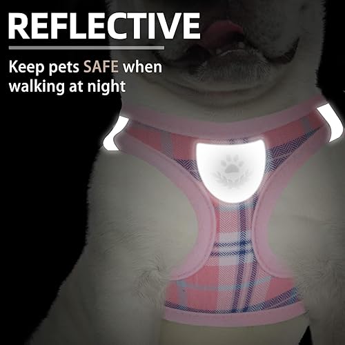Miniatura 6 de PUPTECK - Arnés y correa ajustable, sin tirones, para perro pequeño y mediano, cachorros y gatos, adiestramiento y paseo al aire libre, chaleco