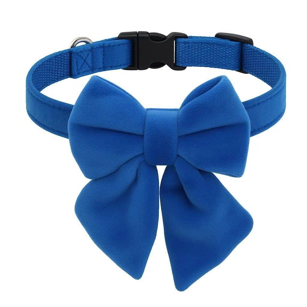 THAIN Velvet Dog Collar with Style Bow Tie, Quick Release Plastic Buckle Adjustable Dog Collars for Small Medium Large Dogs Pets (L, Velvet Royal Blue)