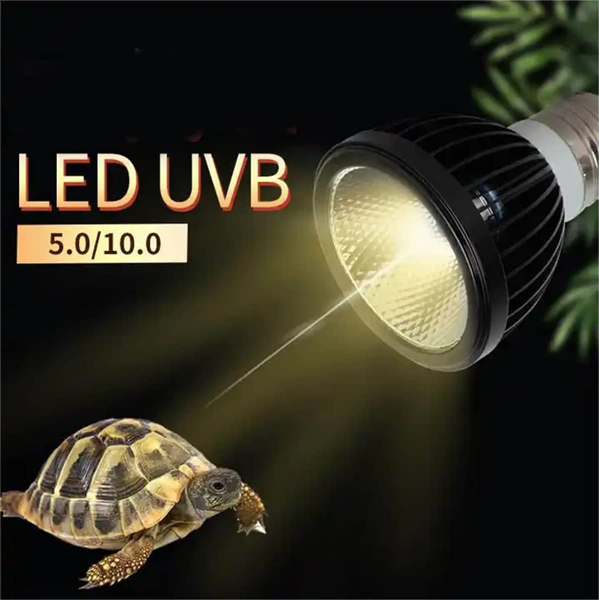 UVA UVB 10.0 - Lampada termica a spettro completo e luce per rettili, doppia illuminazione con sintesi di vitamina D3, base E27 per tartarughe acquarie/lucertola/drago barbuto/habitat anfibio