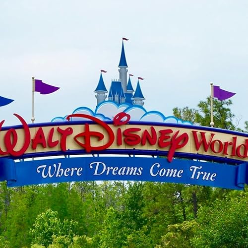 Low Crowds at Disney? What Does the Data Say?