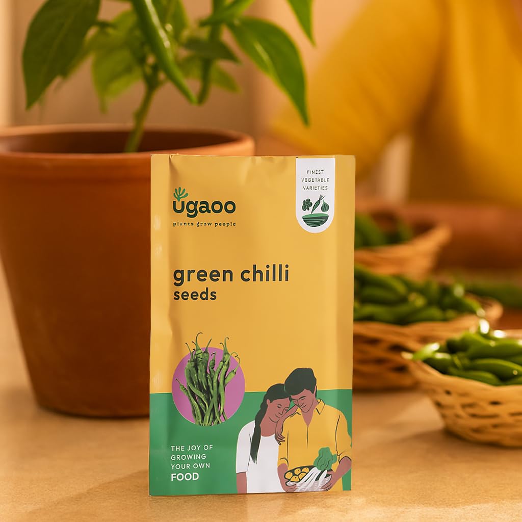 UGAOO Chilli Vegetable Seeds (Green, Pack of 500mg)