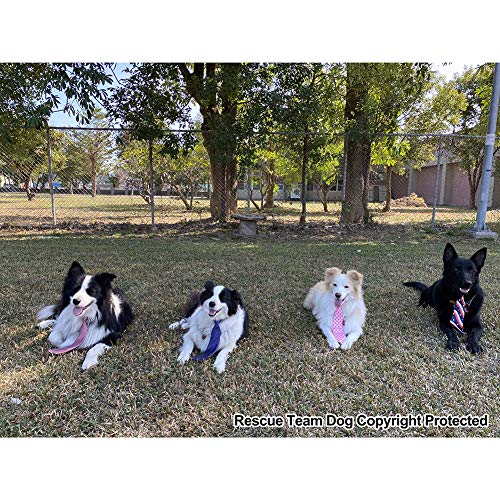 GOGO 10 Pezzi Grandi Cravatte per Cani Grandi