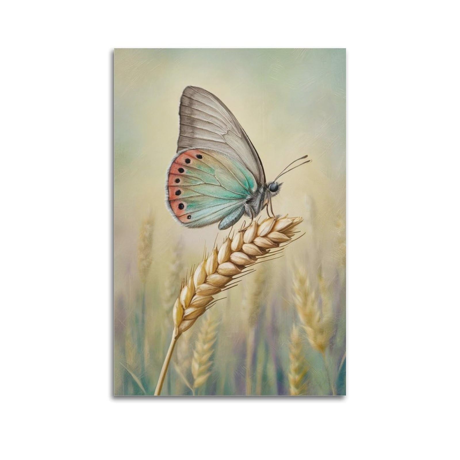 JTLFXY Animal Poster Beautiful Butterfly Poster Decorative Painting Canvas Wall Posters And Art Picture Print Modern Family Bedroom Decor Posters 20x30inch(50x75cm)
