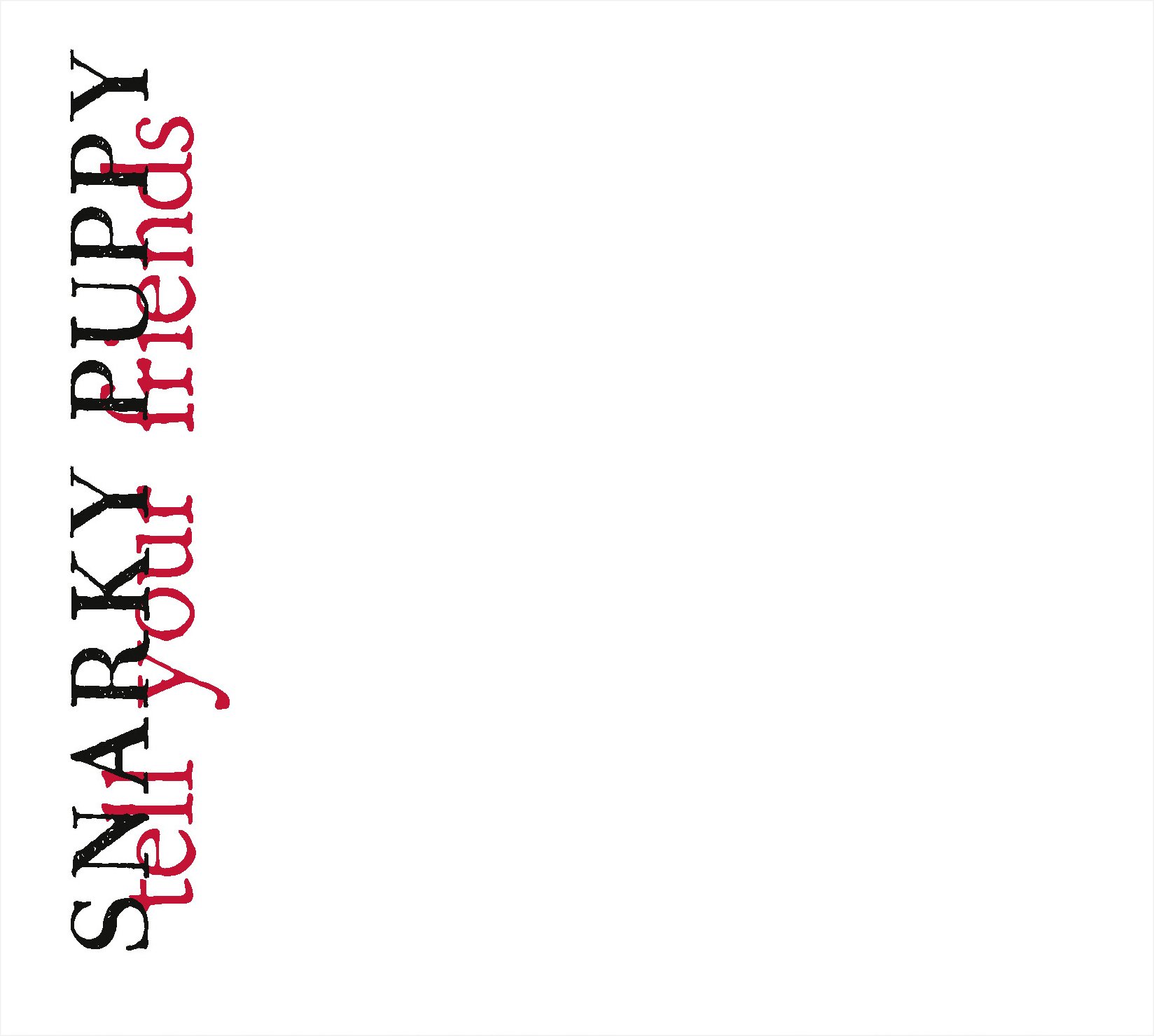 Snarky Puppy Tell Your Friends Double CD NEW