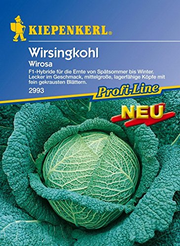 Kiepenkerl, Wirsing Wirosa F1 Kiepenkerl, Wirsing Wirosa F1