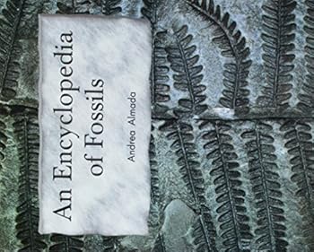 Paperback The Encyclopedia of Fossils: Leveled Reader Grade 2 Book