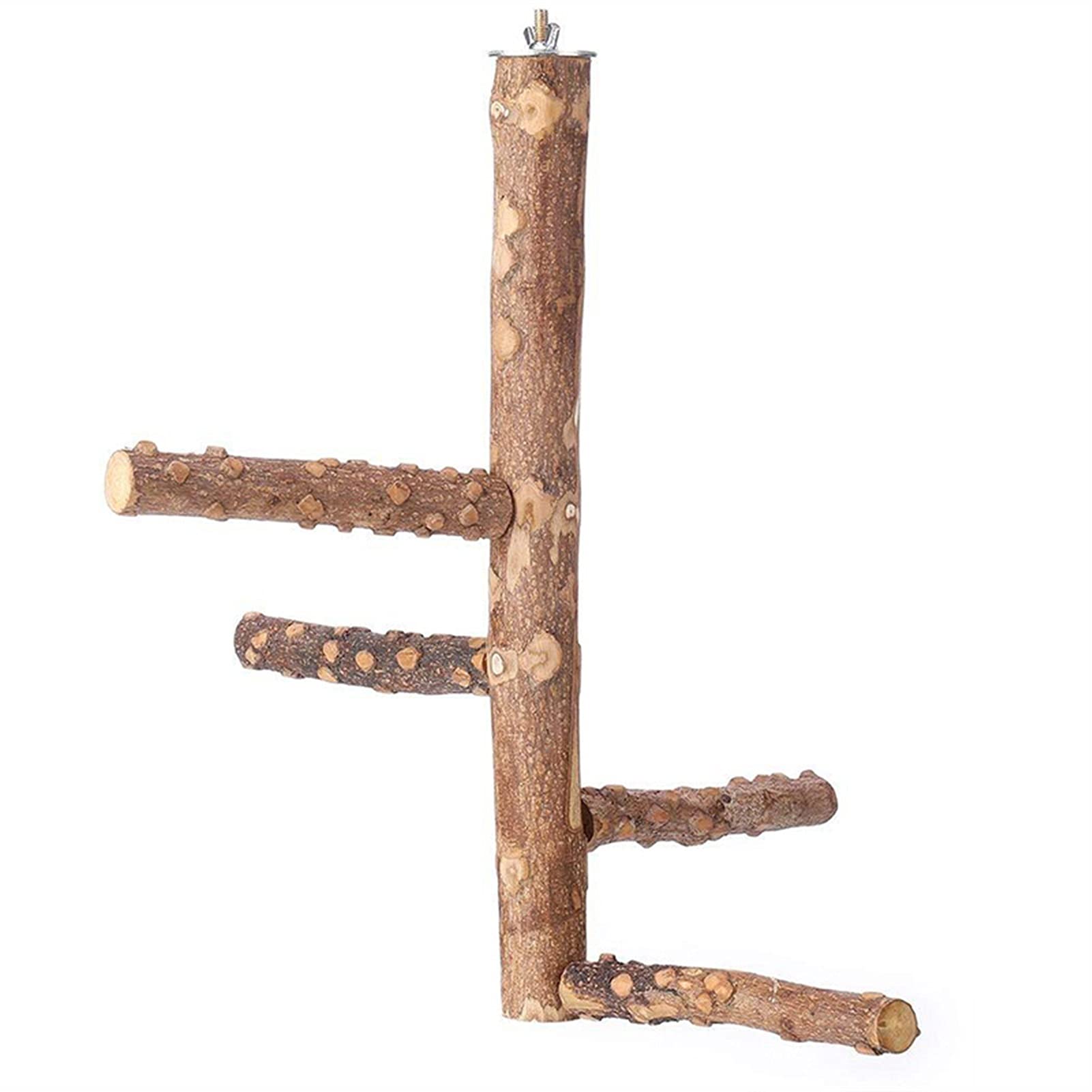 Giocattoli per Uccelli Vestito da parrocchetto in Legno Naturale Giocattoli parrocchetti per Carri per pappagalli Conforms Budgie Platform Hanging Multi Branch Sych (Color : Small)