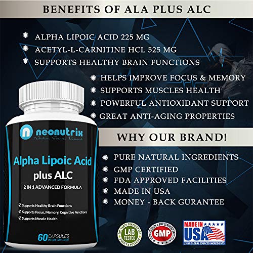 Alpha Lipoic Acid Plus Acetyl LCarnitine Antioxidant Supplement ALA