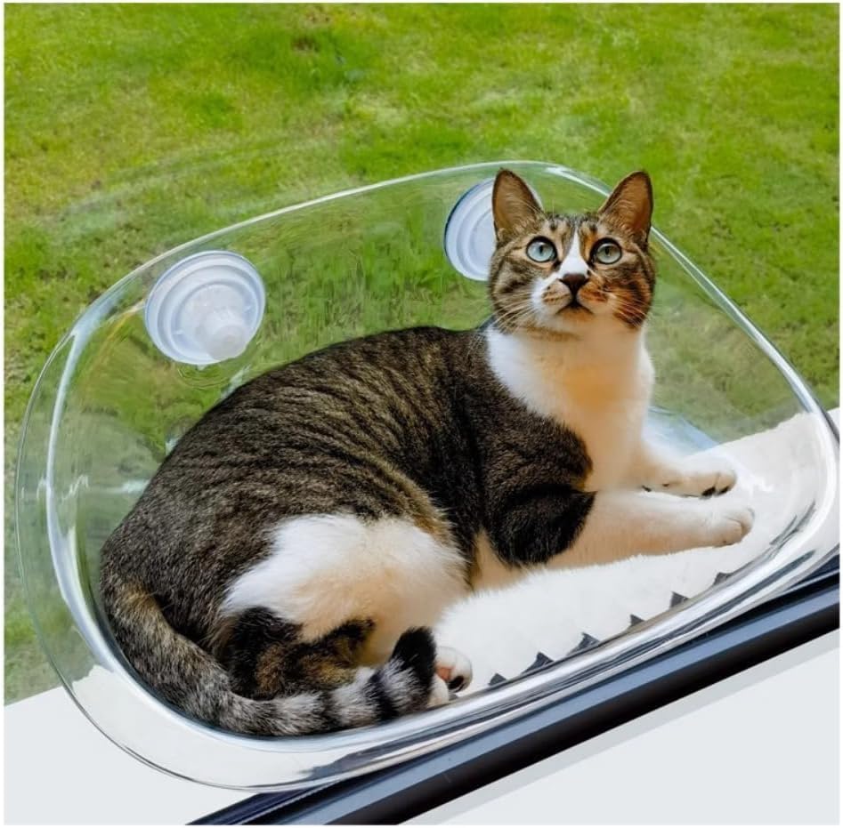 Transparent Cat Window Perch, Suction Cup Hanging Sleeping Bed, Wall Rack Sunbathing Platform, Durable Window Mounted Space Capsule Hammock (2pcs)