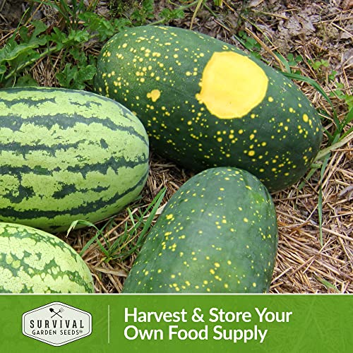Survival Garden Seeds - Moon & Stars Watermelon Seed For Planting - Packet With Instructions To Plant And Grow Melons In Your Home Vegetable Garden - Rare Super Sweet Non-Gmo Heirloom Variety #TOP5