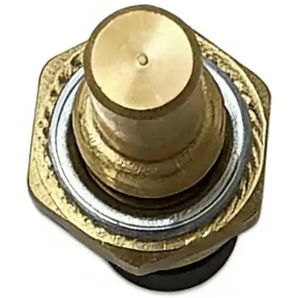 Sensor de temperatura del agua apto for HS 400 P010000391300000