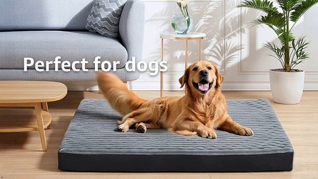 Dog Bed Extra Large Sized Dogs, Orthopedic XL Dog Beds with Removable Washable Cover, Waterproof Indestructible Big Dogs Bed with Anti-Slip Bottom, Egg Crate Memory Foam Pad, 41"x27"x3.5", Grey - image 8