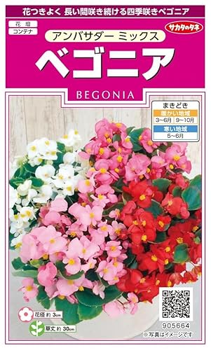 ベゴニアアンバサダー ミックス