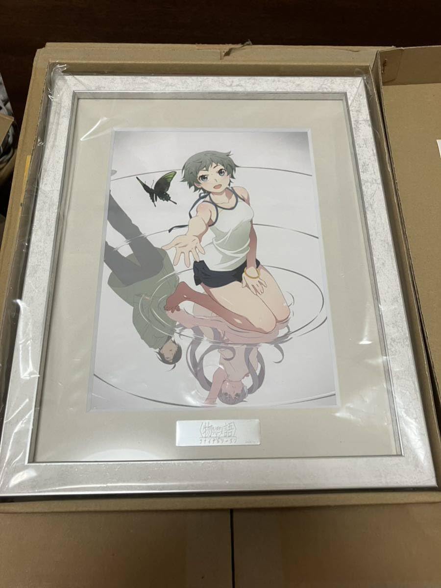 物語シリーズファイナルシーズンキャラファイングラフ受注限定生産複製原画