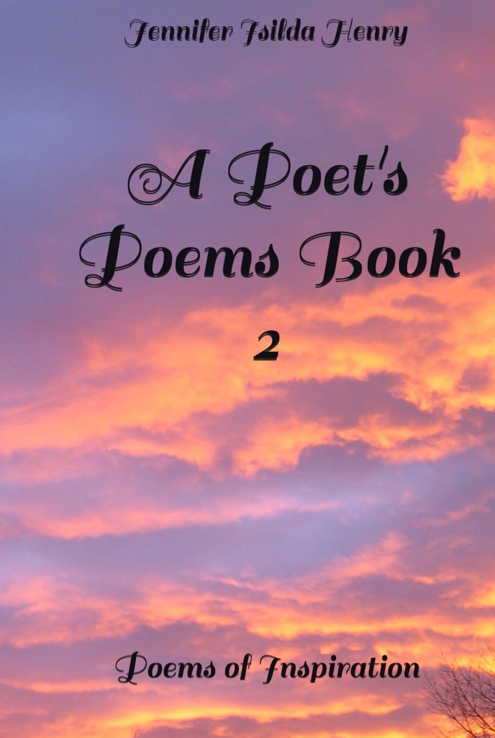 A Poet's Poems Book 2: Poems of Inspiration