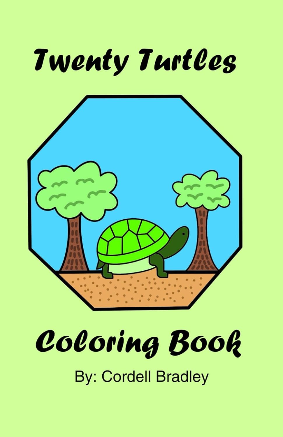Twenty Turtles 9798339842798 Bradley, Cordell